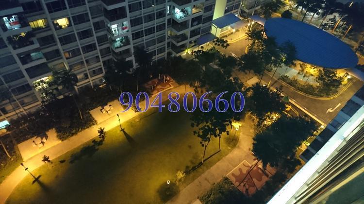 Blk 518B The Premiere @ Tampines (Tampines), HDB 5 Rooms #125345552
